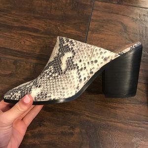Steve Madden snakeskin Mules